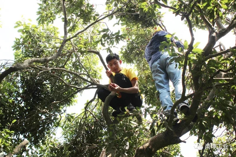 2018美荔尚坤 荔行天下 (1)