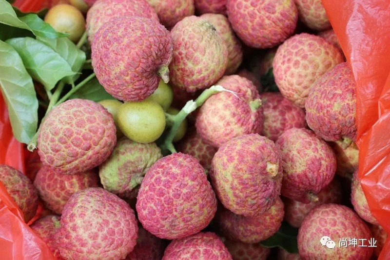 2018美荔尚坤 荔行天下 (10)