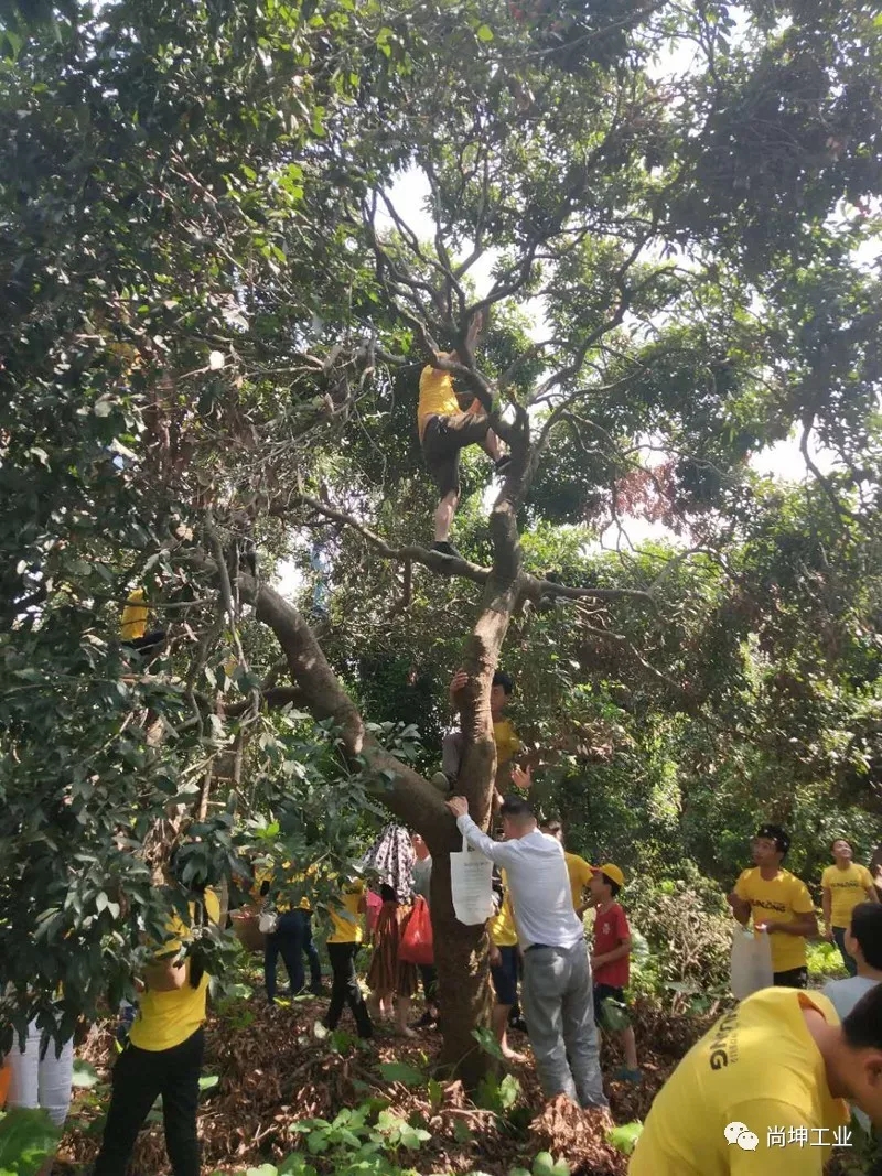 2018美荔尚坤 荔行天下 (3)